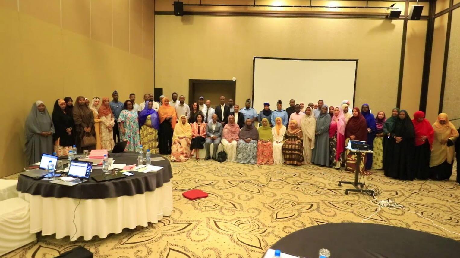 Strengthening the Governance of Gender-Based Violence Data: Integrating GBVIMS-Health into DHIS2 in Djibouti